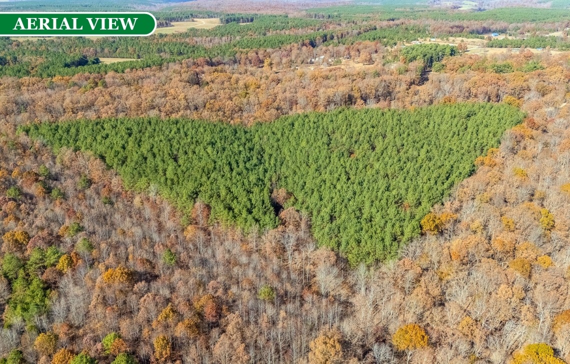 0 Little Fish Trap Road Lawrenceburg, TN 38464 - Photo 7 of 12