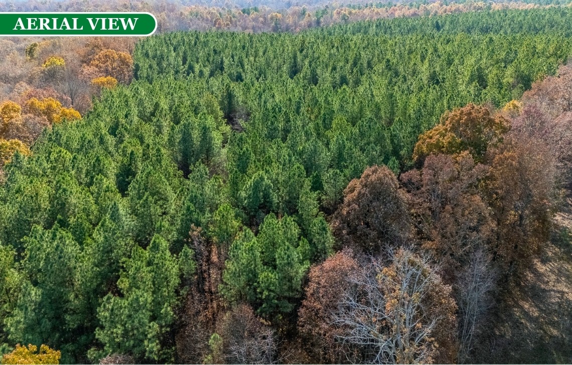 0 Little Fish Trap Road Lawrenceburg, TN 38464 - Photo 8 of 12