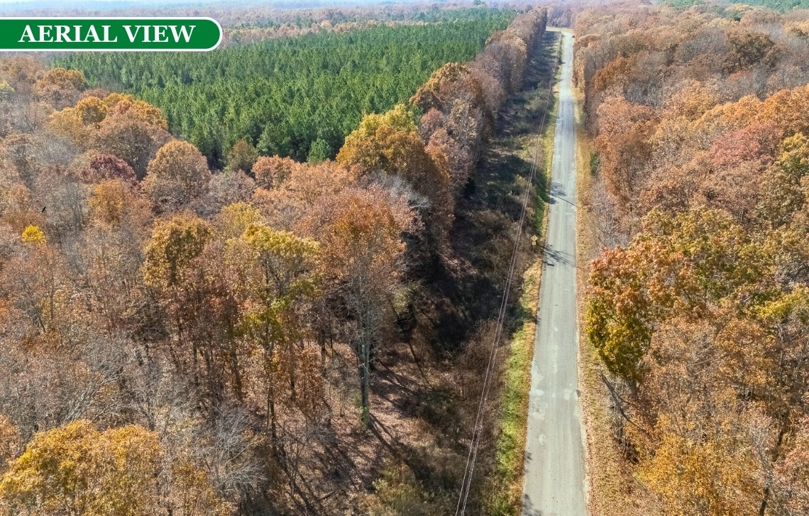 0 Little Fish Trap Road Lawrenceburg, TN 38464 - Photo 9 of 12
