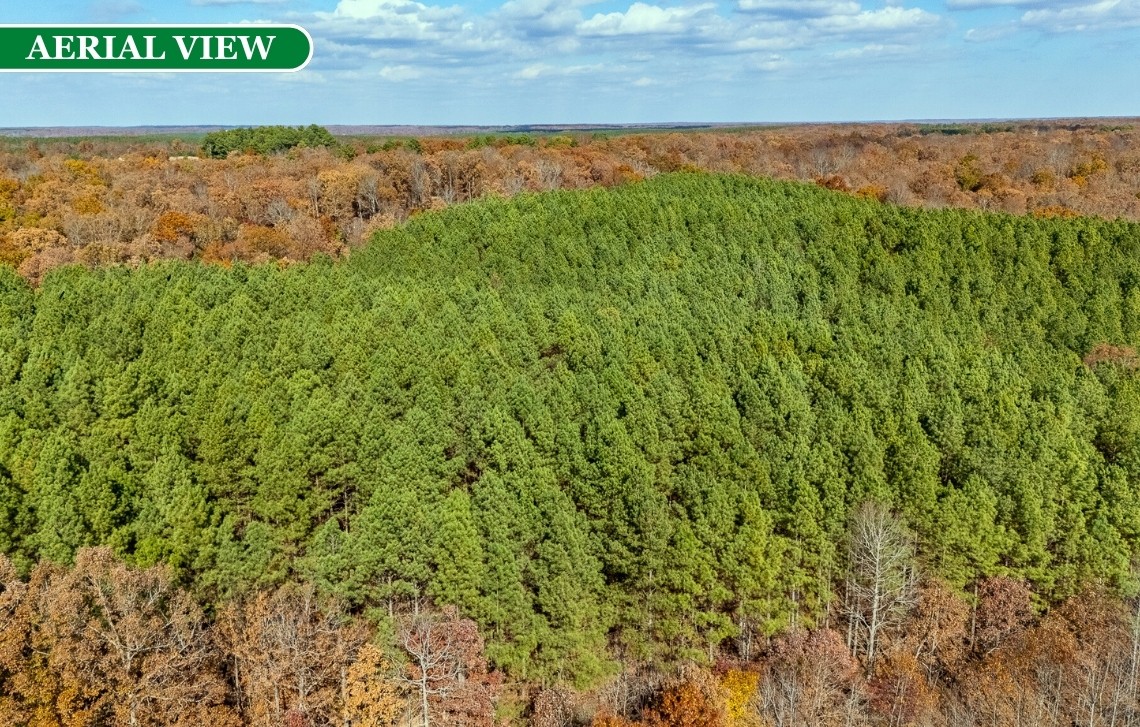 0 Little Fish Trap Road Lawrenceburg, TN 38464 - Photo 10 of 12