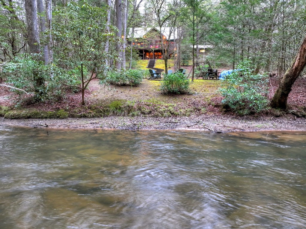 266 River Road Cherry Log, GA 30522 - Photo 3 of 66