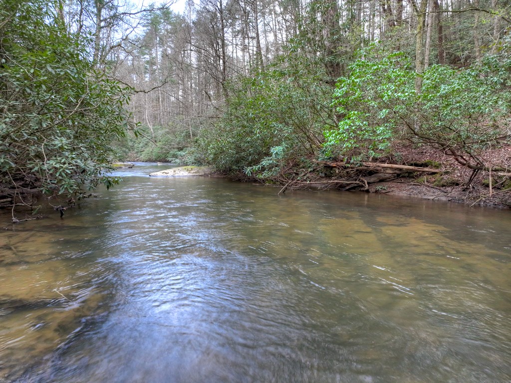 266 River Road Cherry Log, GA 30522 - Photo 4 of 66