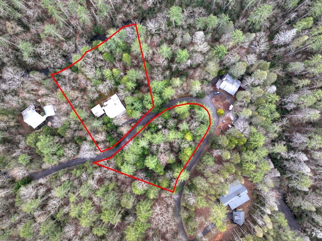 266 River Road Cherry Log, GA 30522 - Photo 5 of 66 Includes 2 lots