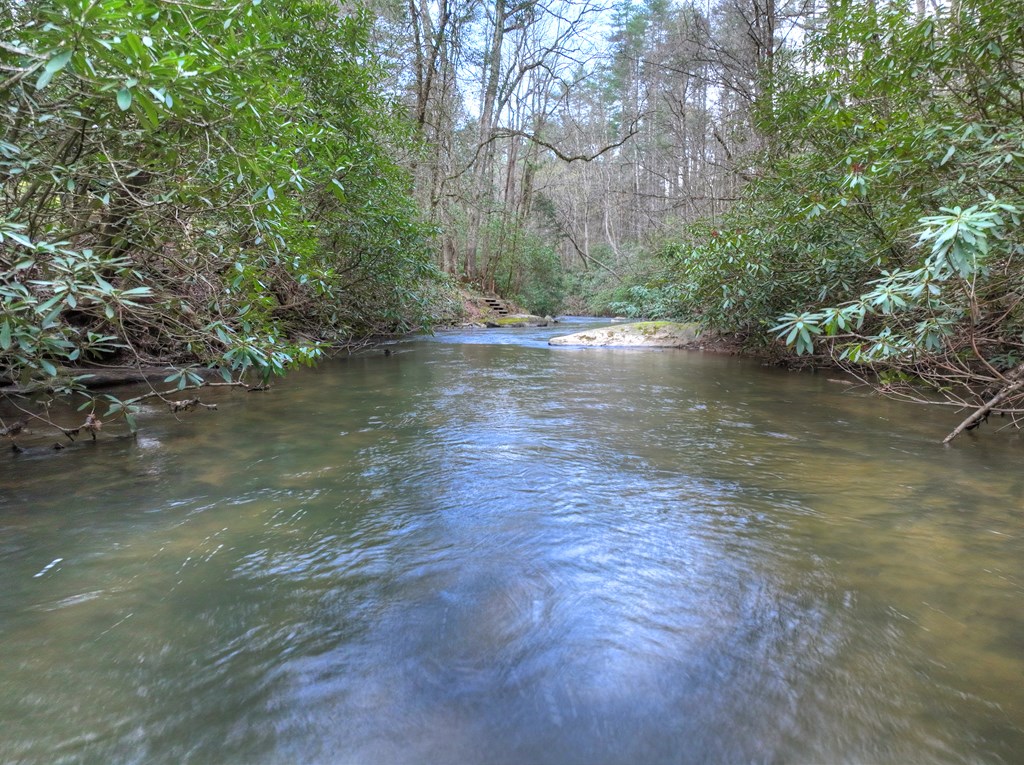 266 River Road Cherry Log, GA 30522 - Photo 52 of 66