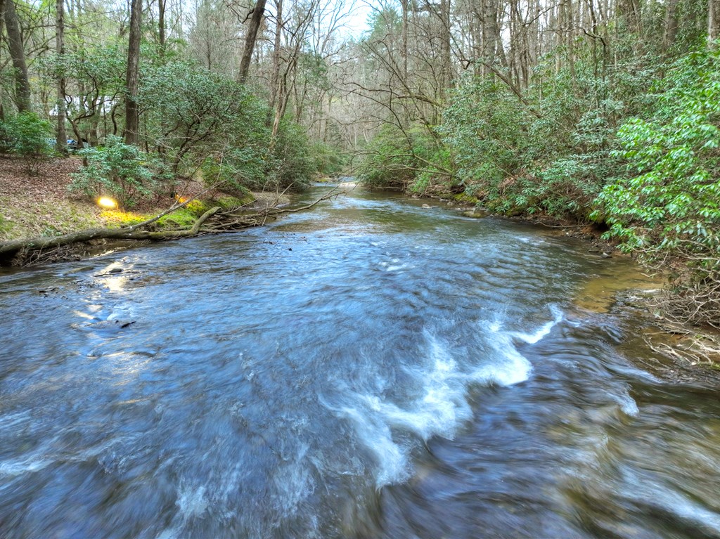 266 River Road Cherry Log, GA 30522 - Photo 53 of 66