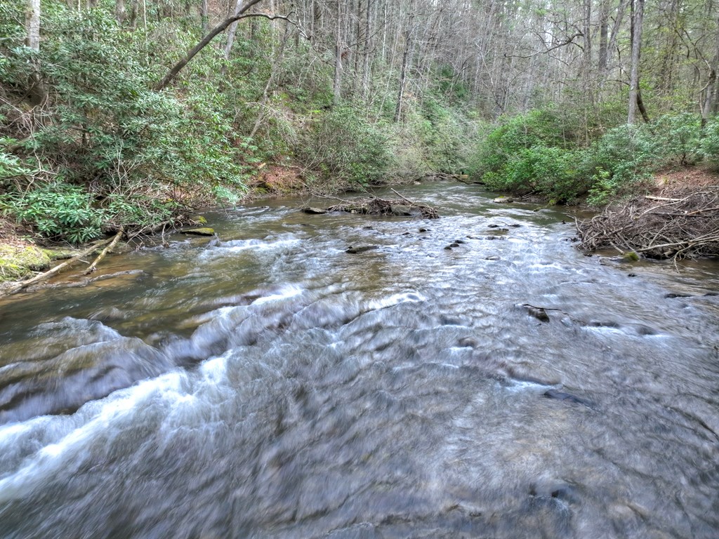 266 River Road Cherry Log, GA 30522 - Photo 54 of 66