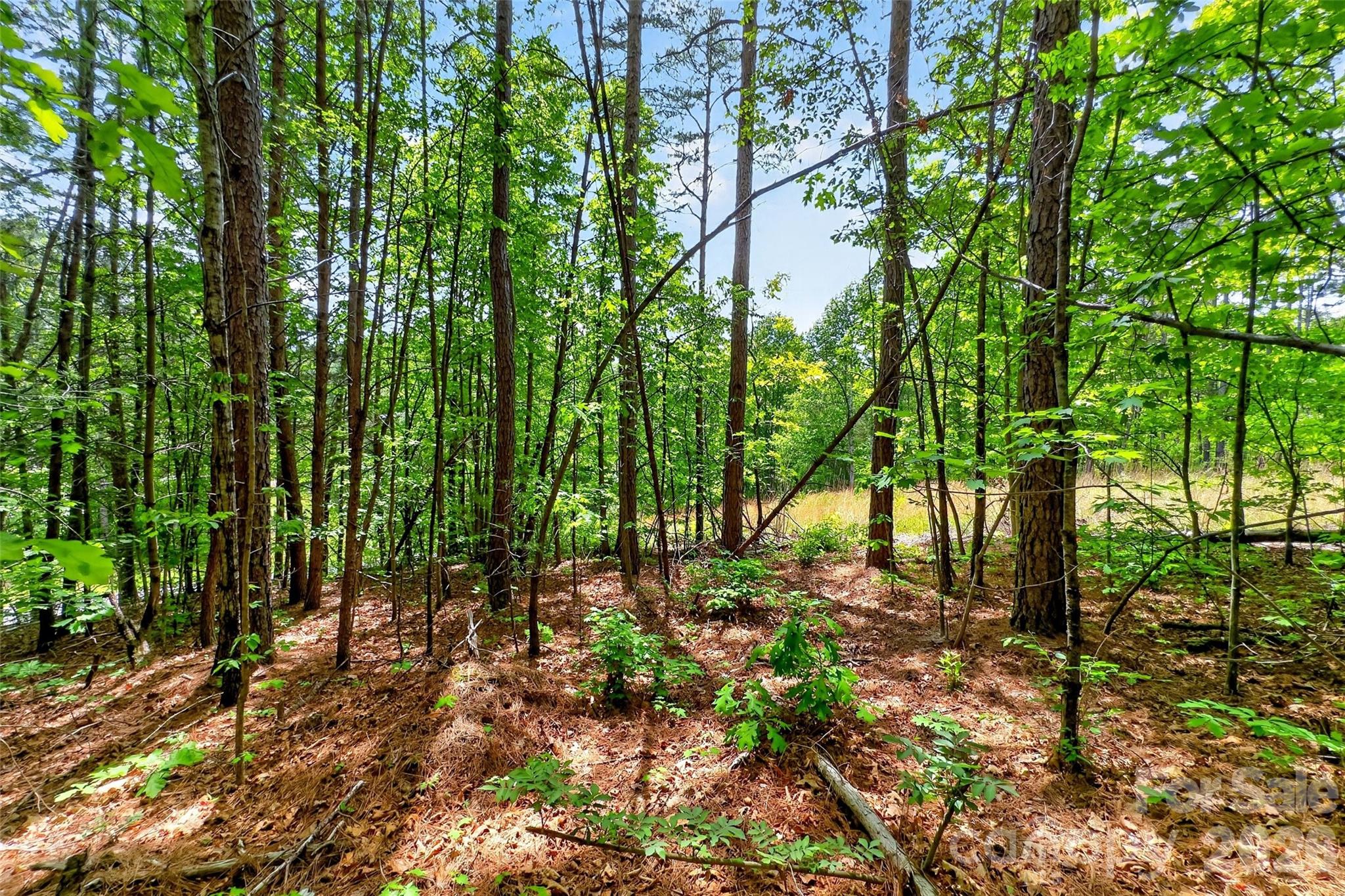 99999 Wright Road Marion, NC 28752 - Photo 13 of 24