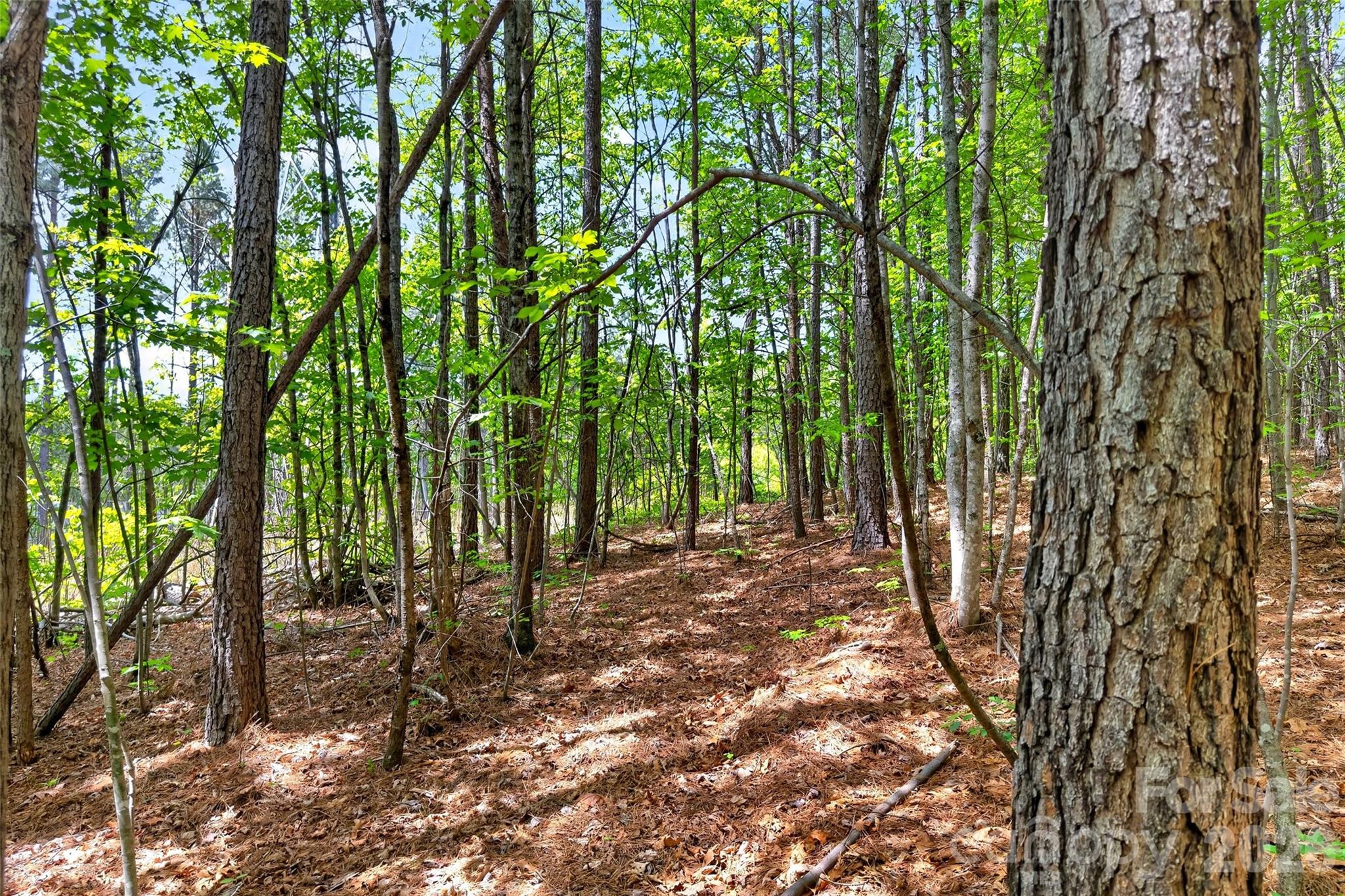 99999 Wright Road Marion, NC 28752 - Photo 14 of 24