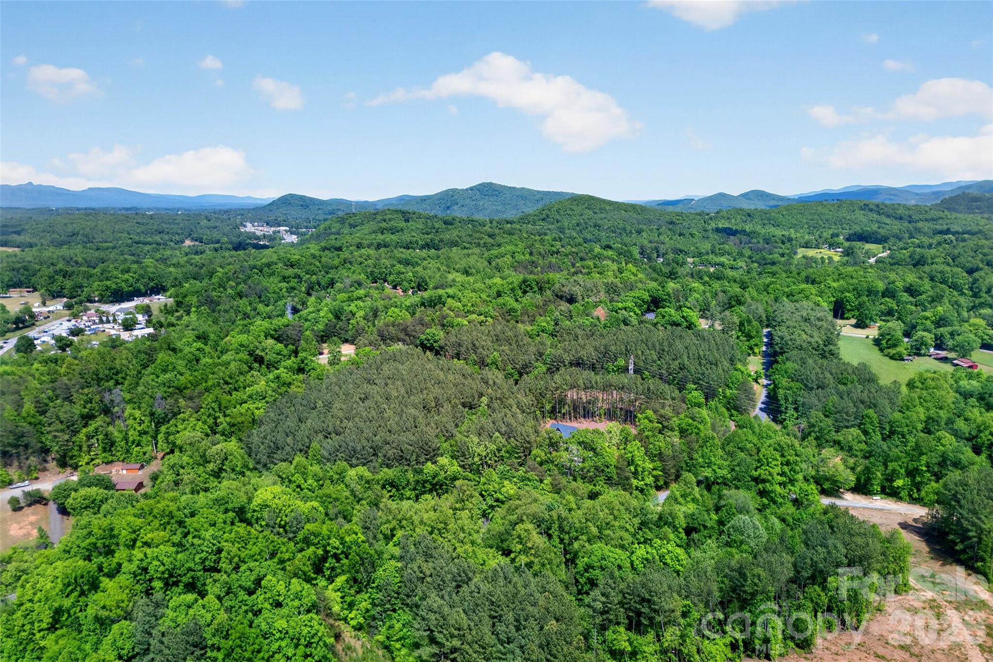 99999 Wright Road Marion, NC 28752 - Photo 19 of 24