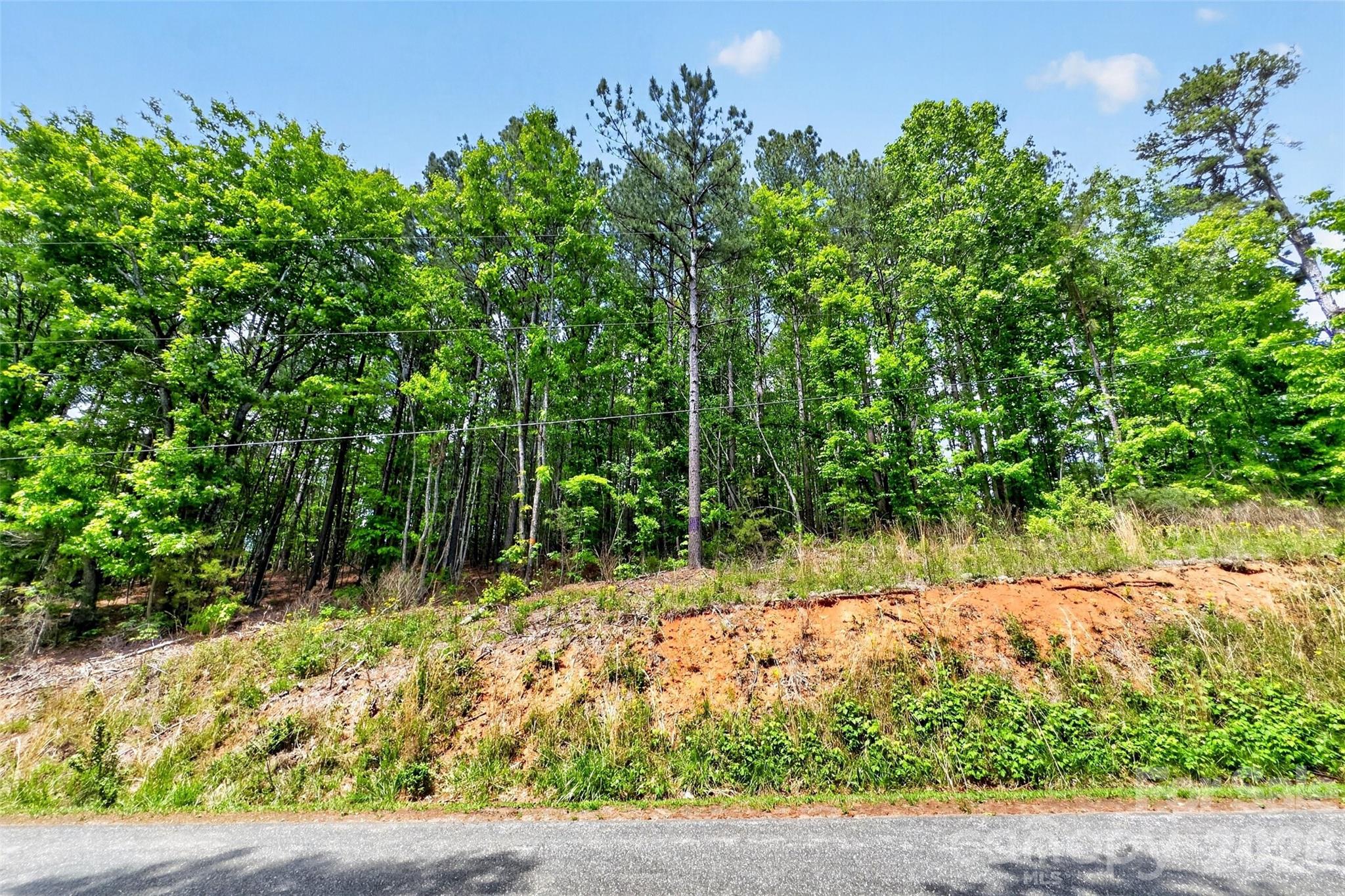 99999 Wright Road Marion, NC 28752 - Photo 3 of 24
