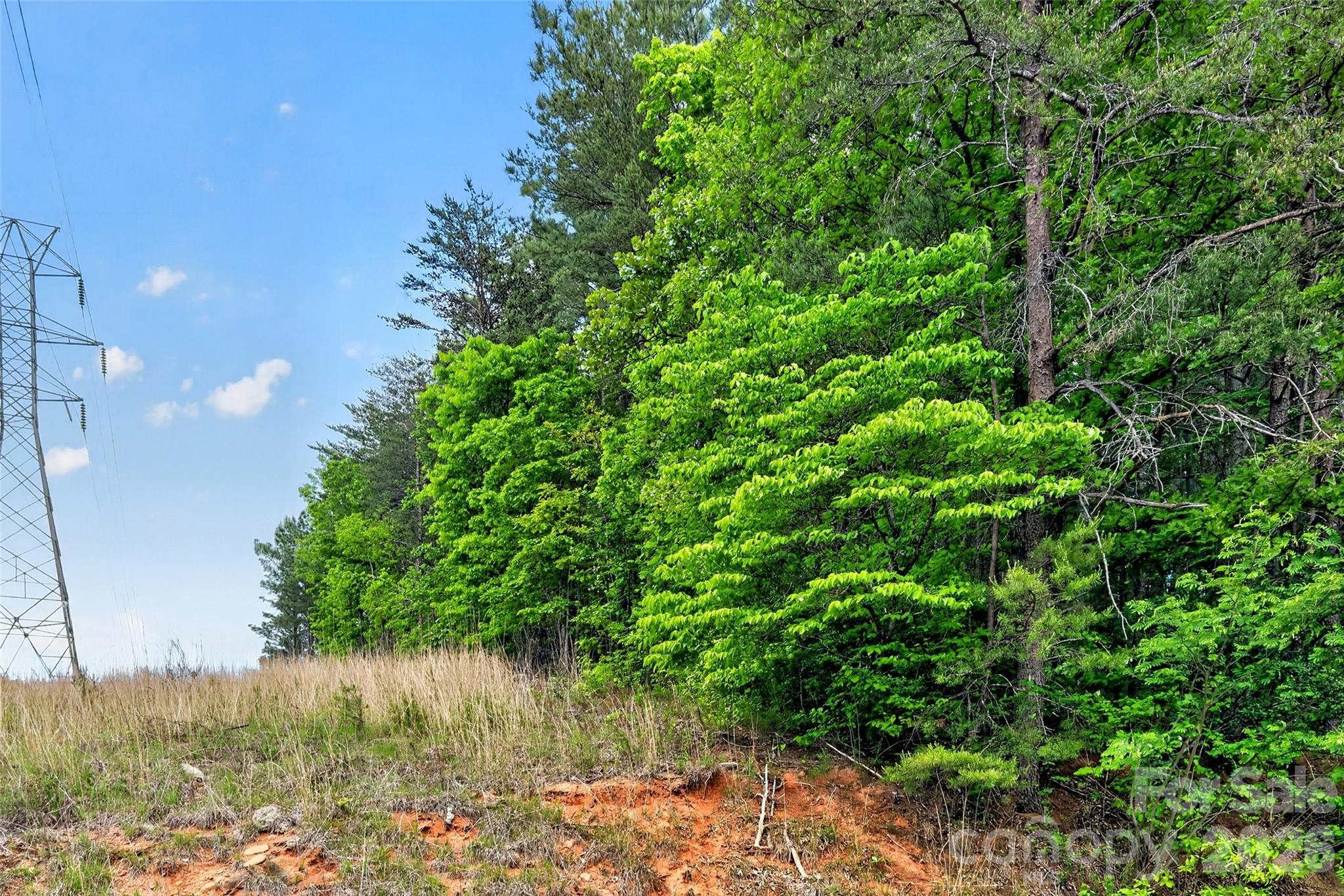 99999 Wright Road Marion, NC 28752 - Photo 4 of 24