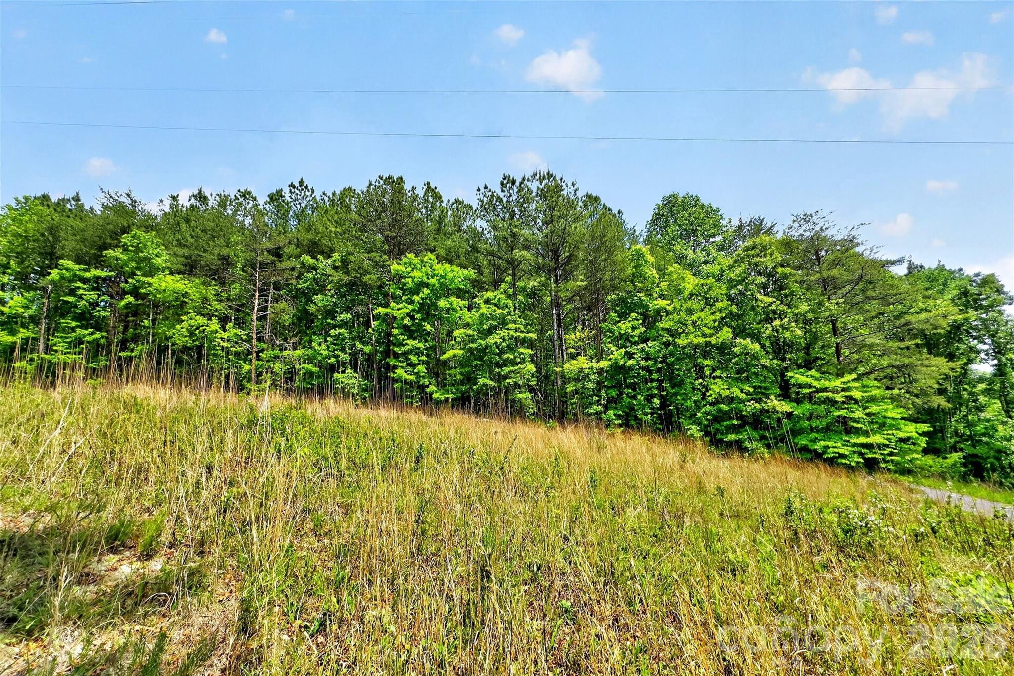 99999 Wright Road Marion, NC 28752 - Photo 5 of 24