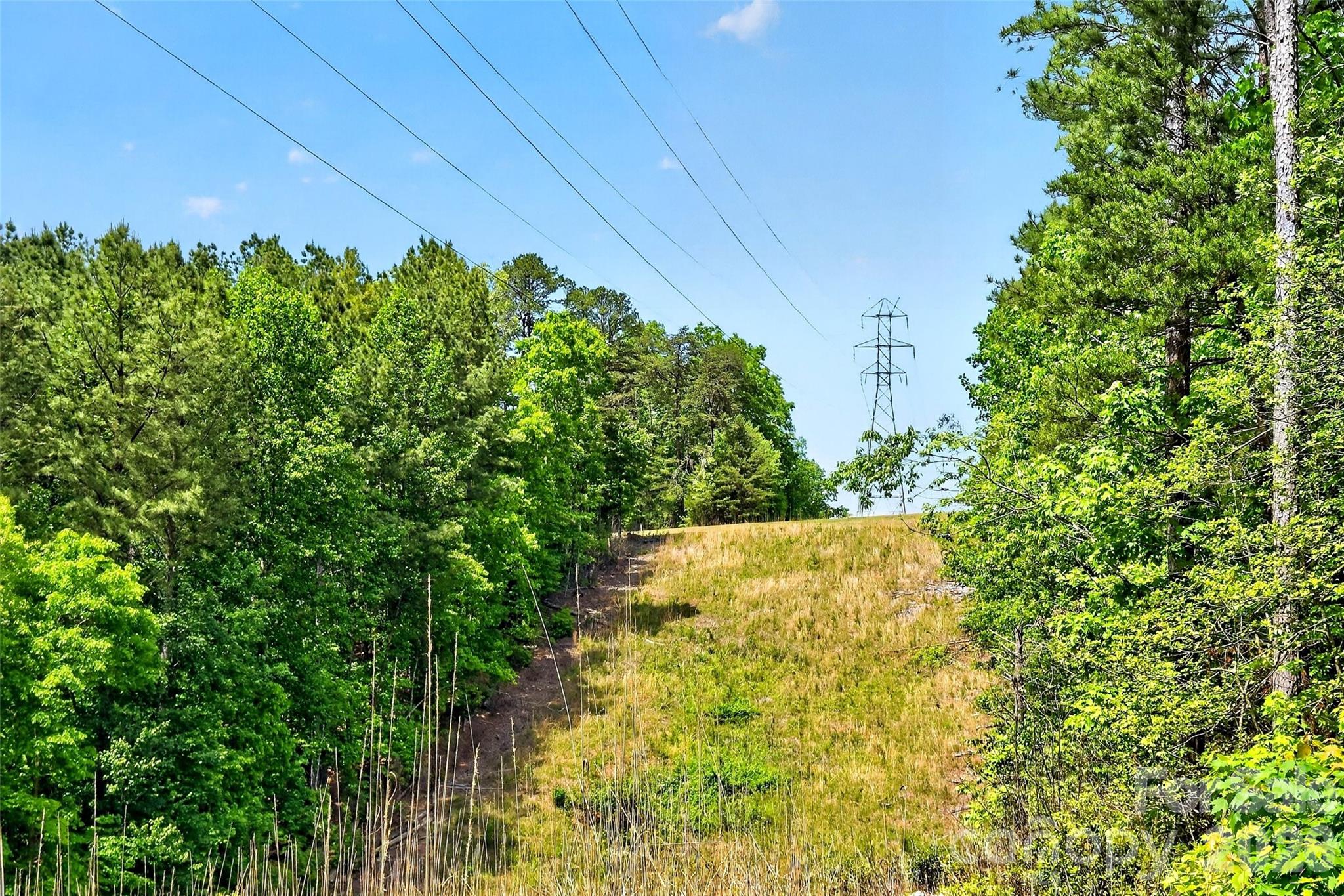 99999 Wright Road Marion, NC 28752 - Photo 6 of 24
