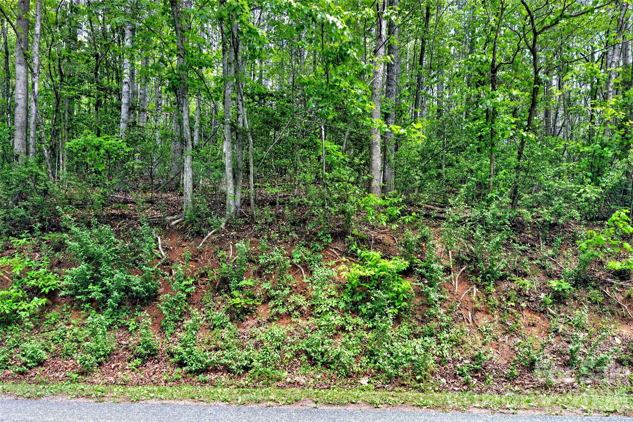 99999 Wright Road Marion, NC 28752 - Photo 9 of 24