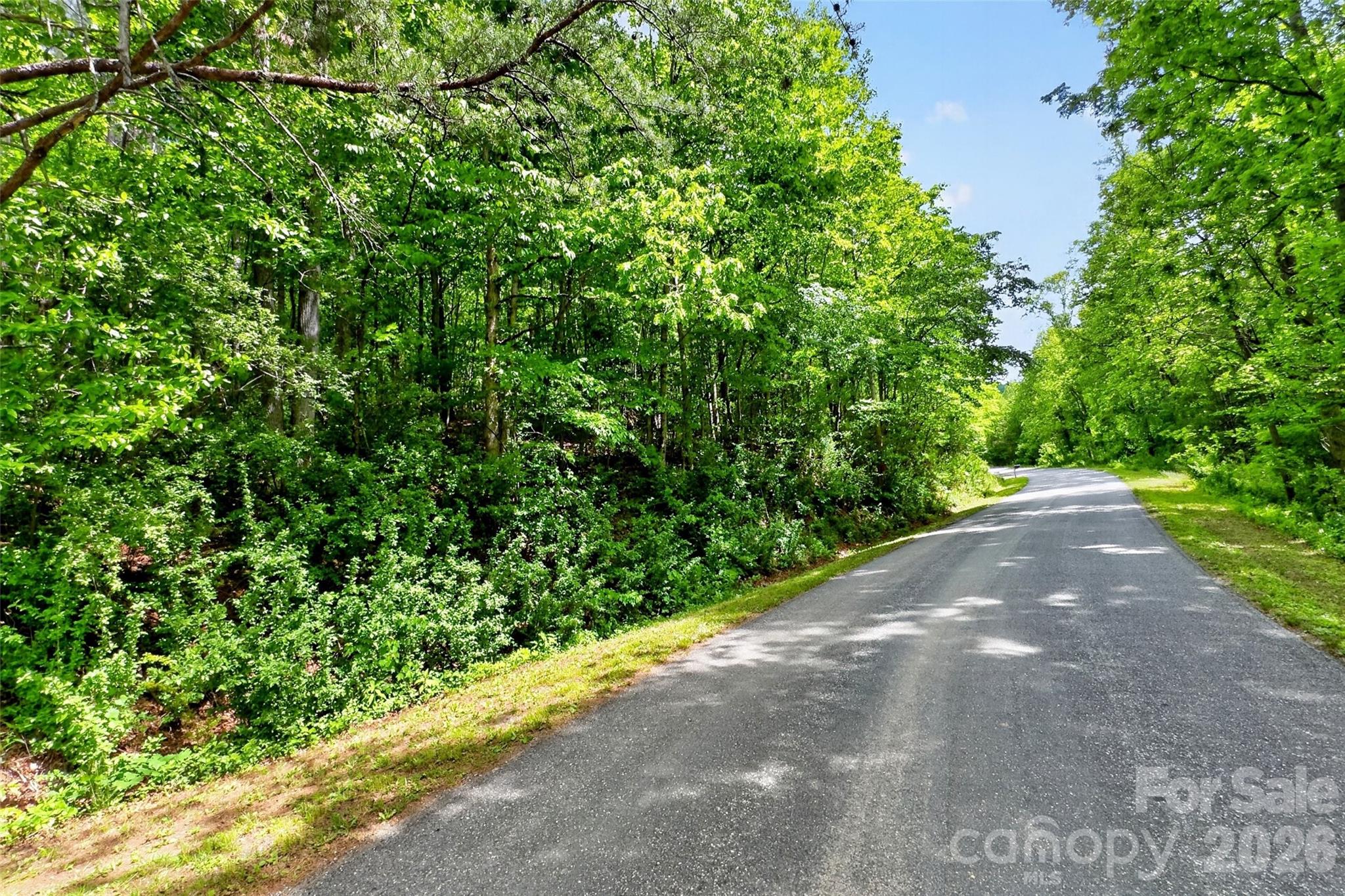 99999 Wright Road Marion, NC 28752 - Photo 10 of 24