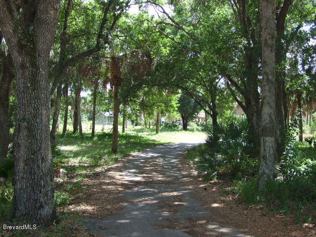 5755 Lake Washington Road Melbourne, FL 32934 - Photo 5 of 8 driveway 1