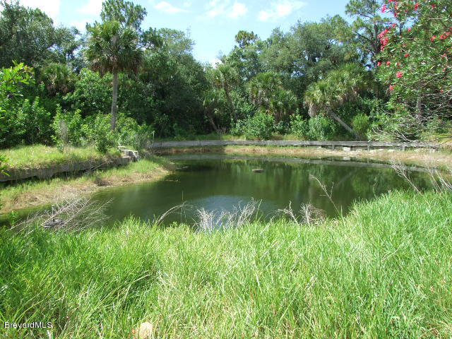 5755 Lake Washington Road Melbourne, FL 32934 - Photo 6 of 8 pond