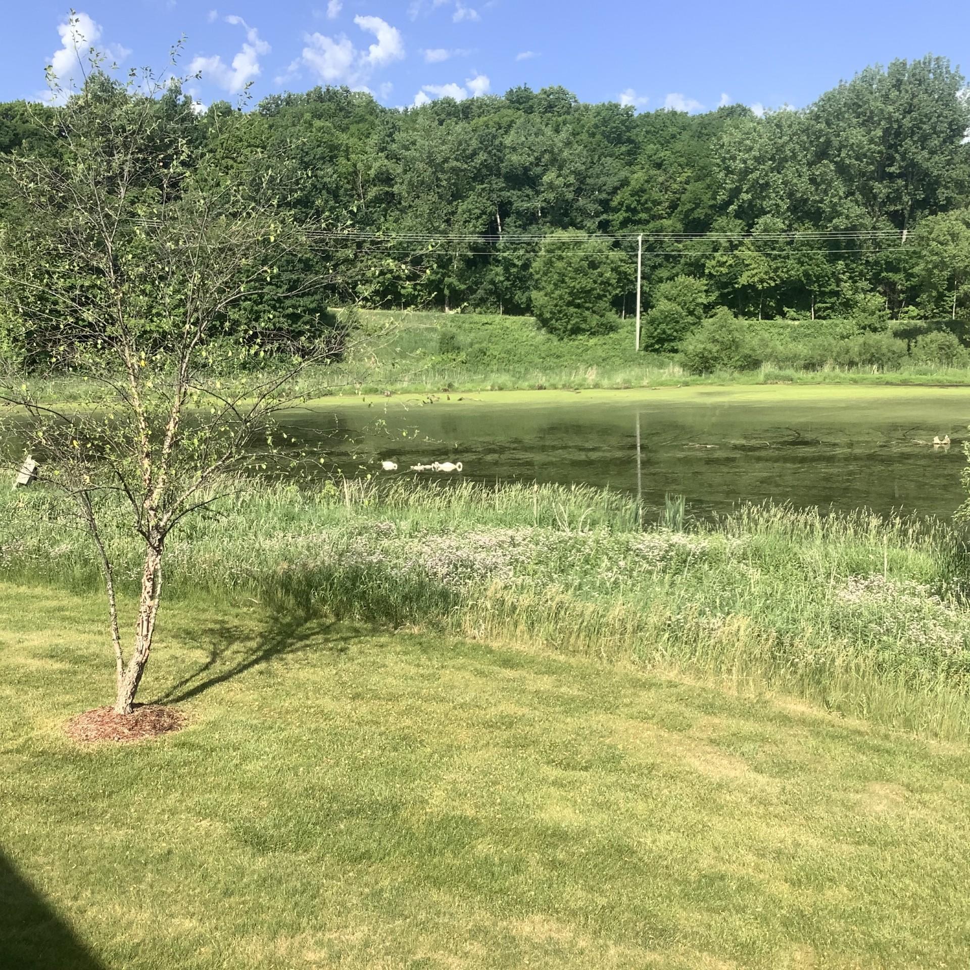 623 Amber Lane Buffalo, MN 55313 - Photo 39 of 40