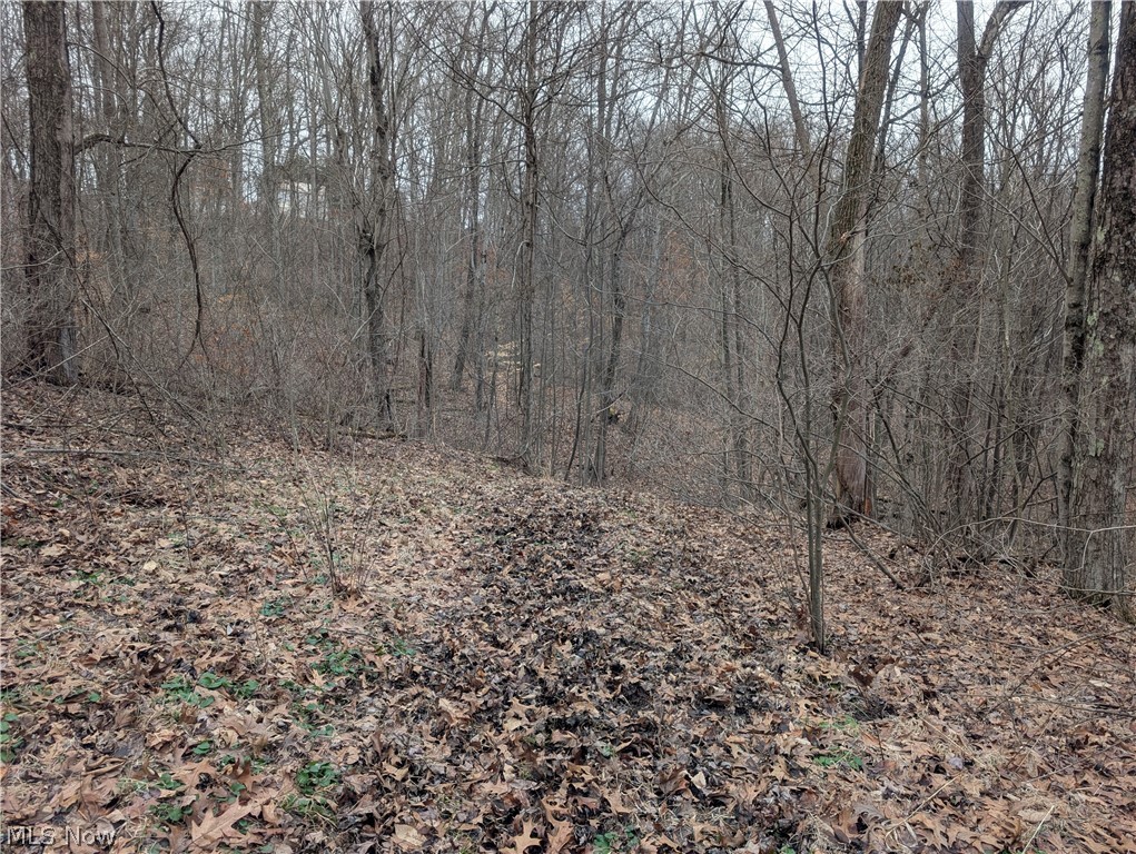 0 Tract 8 Barber Ridge Road Lewisville, OH 43754 - Photo 44 of 49 View of nature
