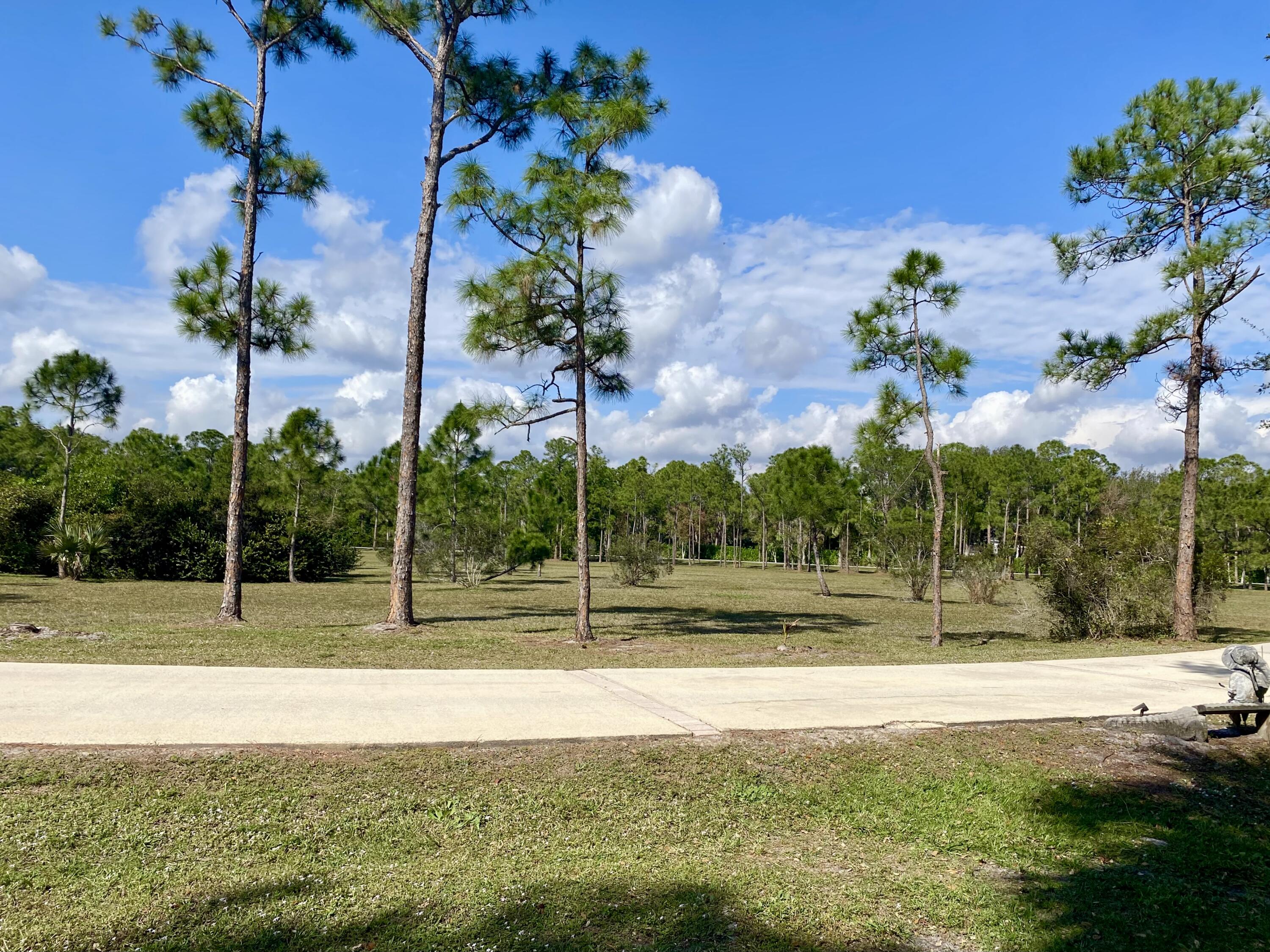 2884 Southeast Ranch Acres Circle Jupiter, FL 33478 - Photo 92 of 93 front yard