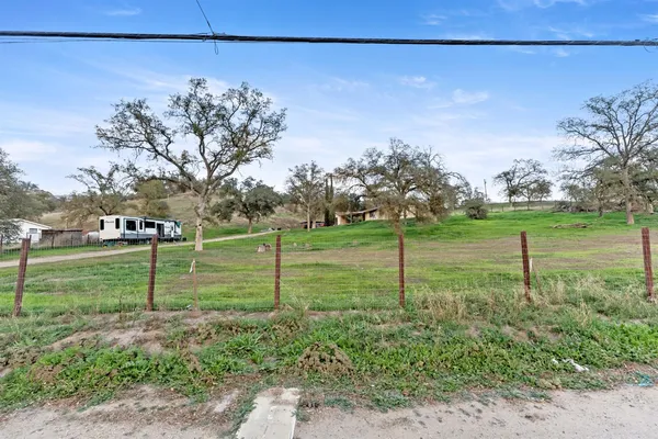 a view of a field with a tree