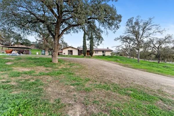 a view of a backyard with large trees