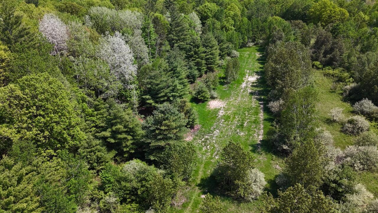 0 East Highwood Road Beaverton, MI 48612 - Photo 25 of 67 024