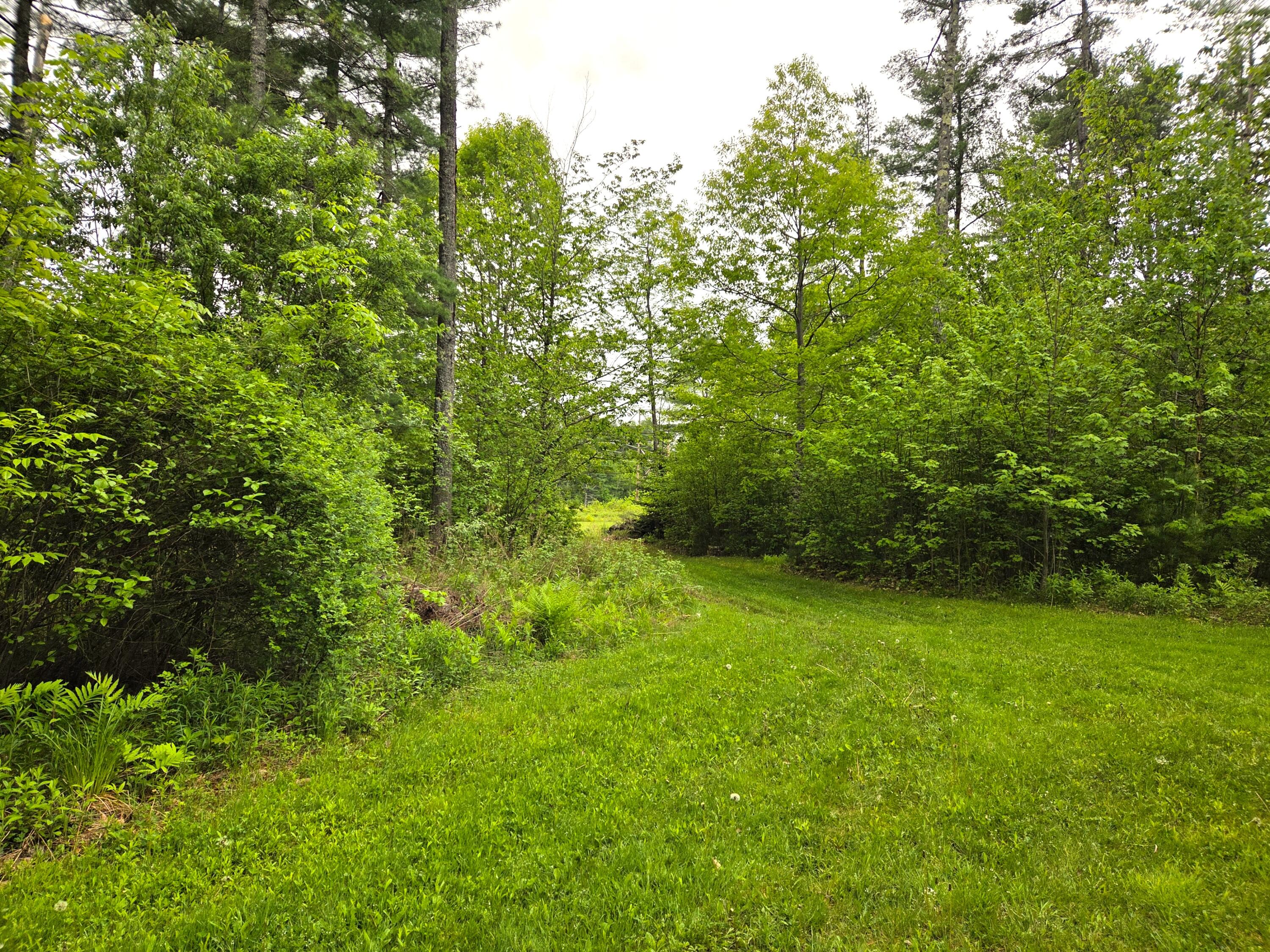 1462 Waterville Road Waldo, ME 04915 - Photo 8 of 70 20260528_095101