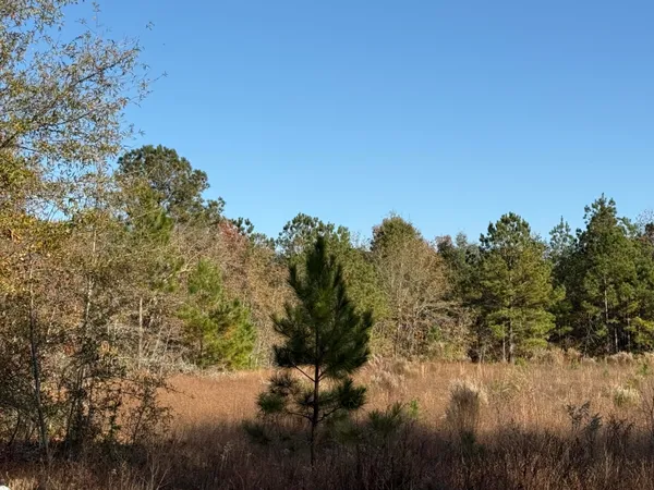 $140,625 | Lot 6 Acre State Park Road, Windsor, SC 29856