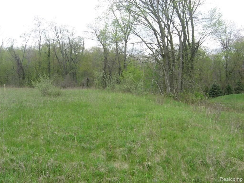 6 East Curtis Road Leonard, MI 48367 - Photo 7 of 10