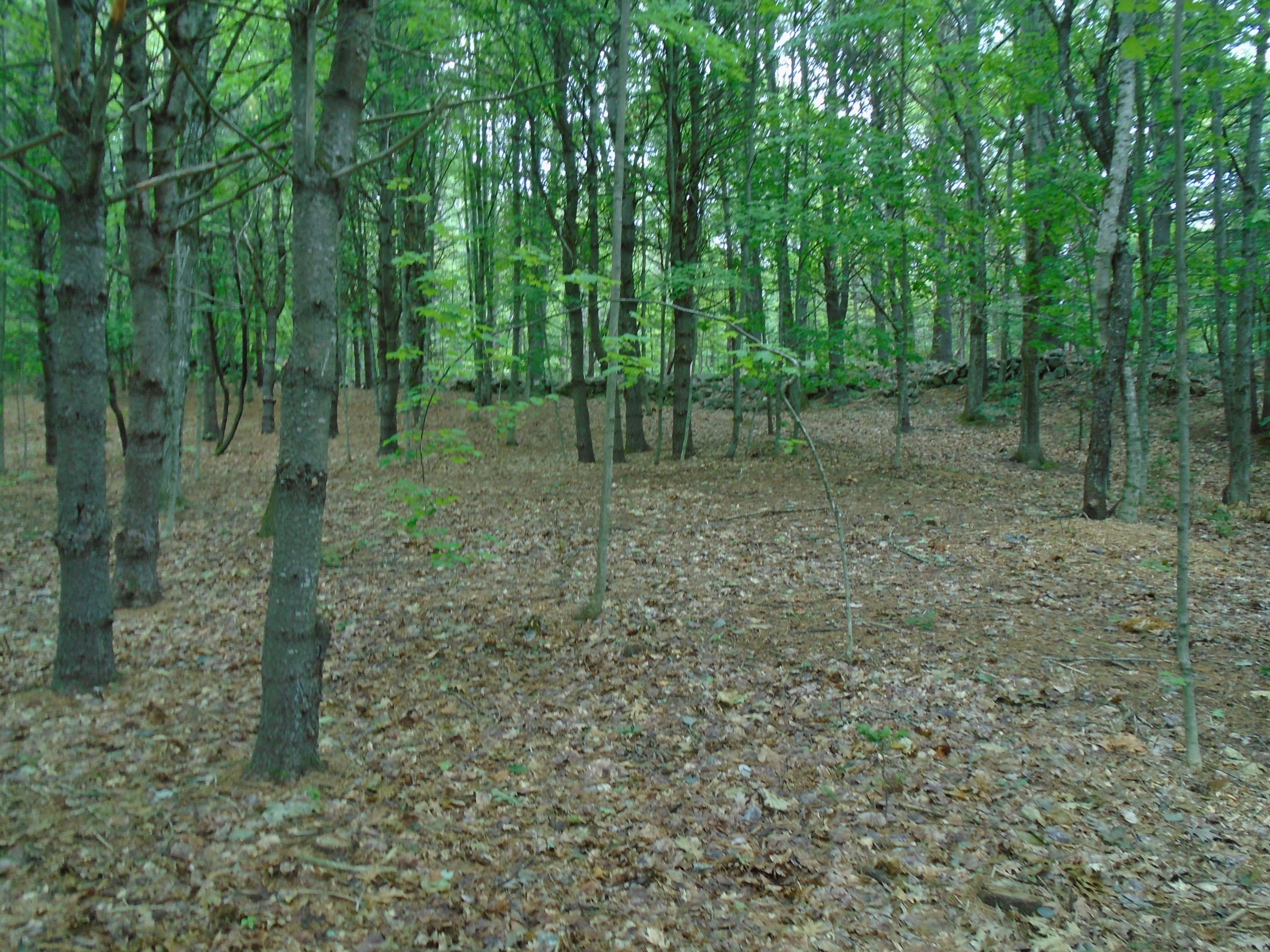 216 Sanborn Road Newfield, ME 04095 - Photo 26 of 33 DSC02096