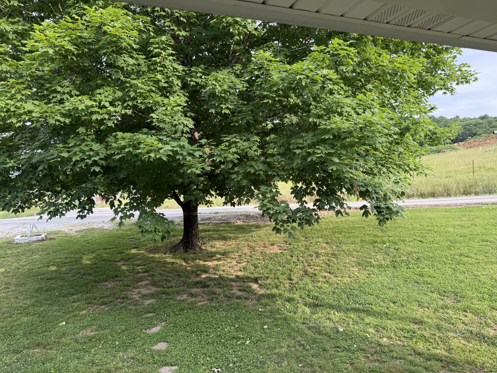 328 Young Branch Road Dixon Springs, TN 37057 - Photo 27 of 30