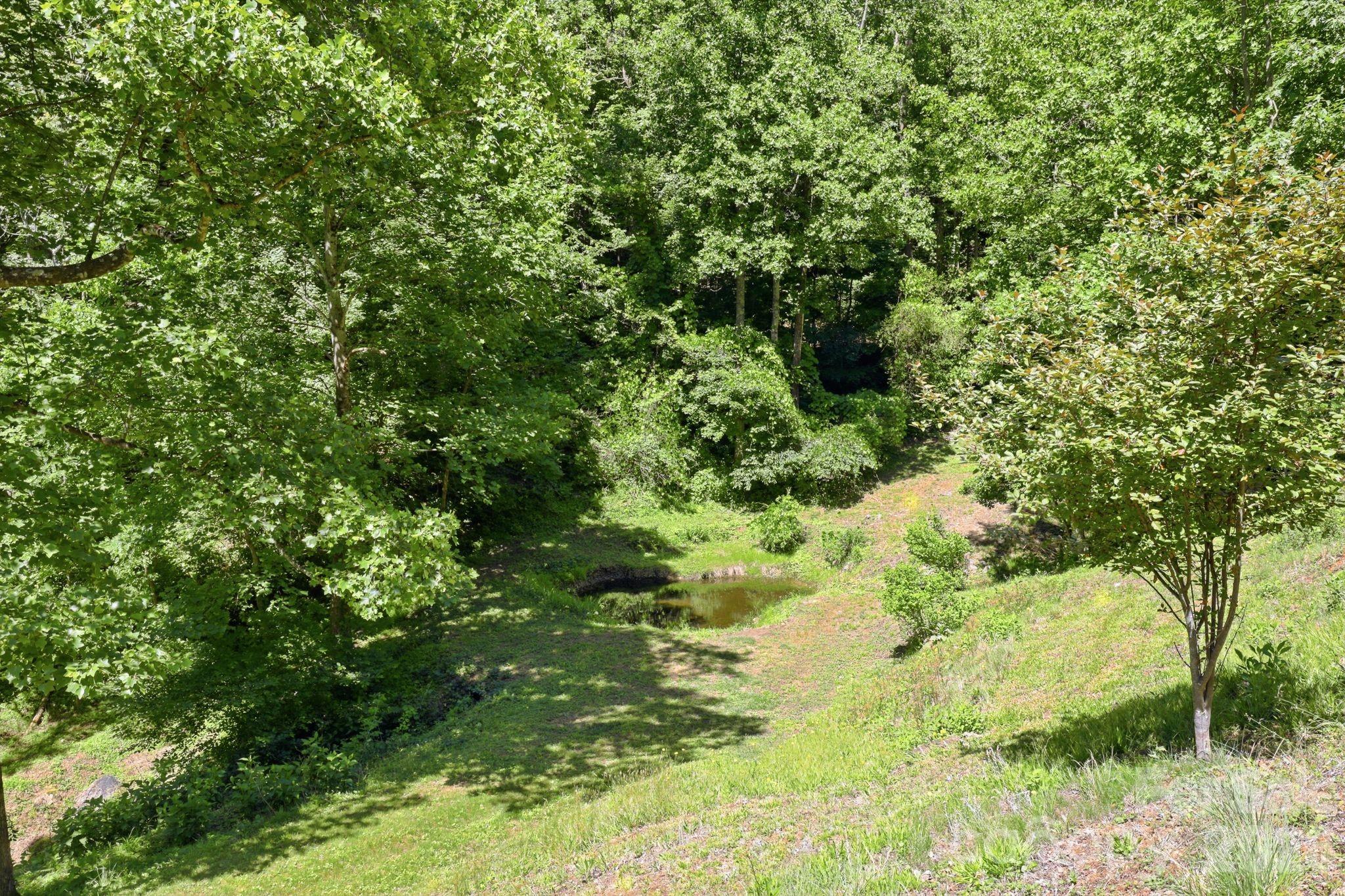 985 Roberson School Road Moravian Falls, NC 28654 - Photo 36 of 48