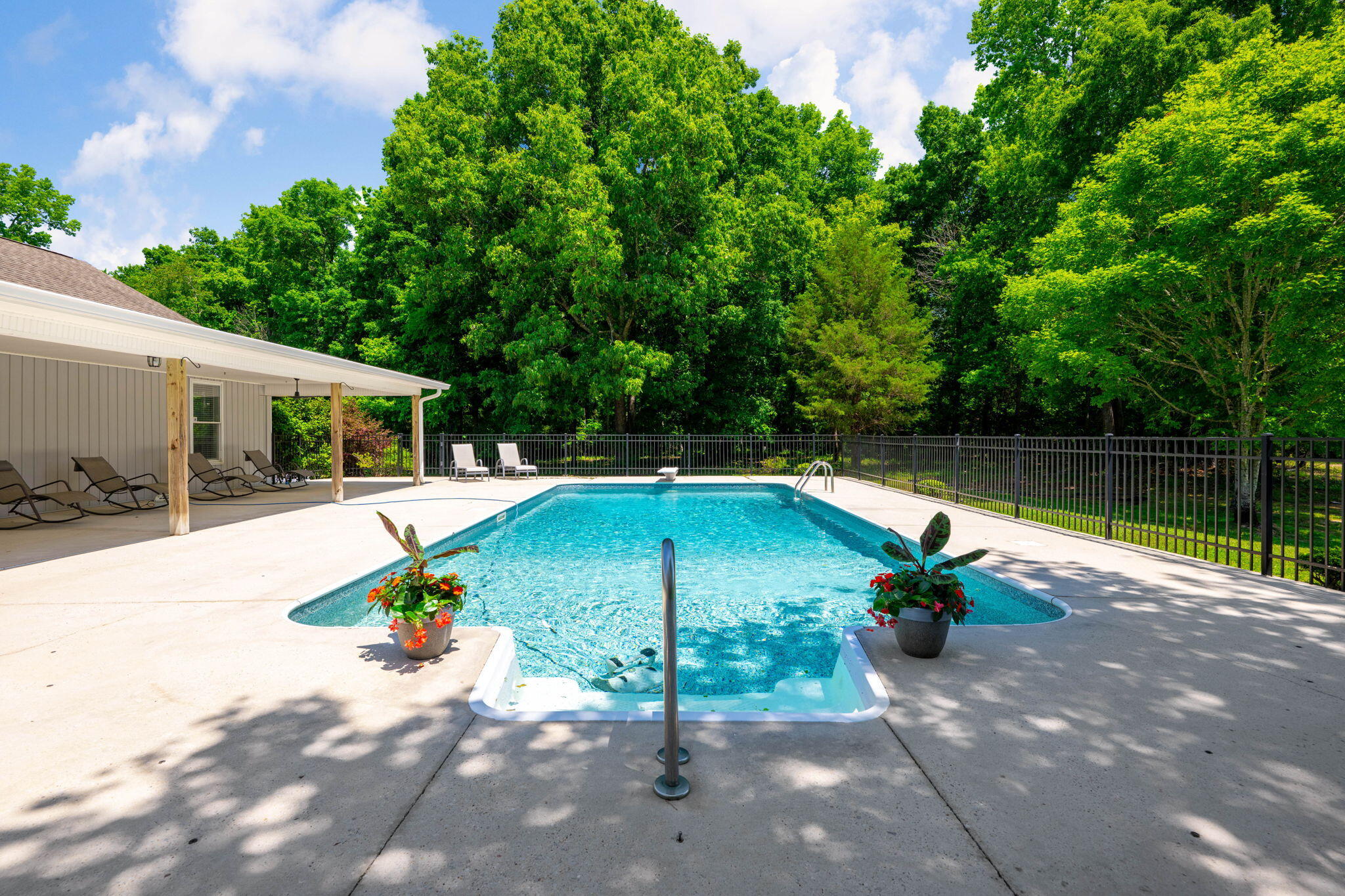 11619 McGhee Road Apison, TN 37302 - Photo 5 of 88 Saltwater Pool