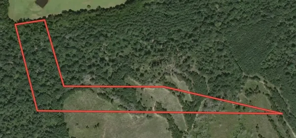 a view of a lush green field