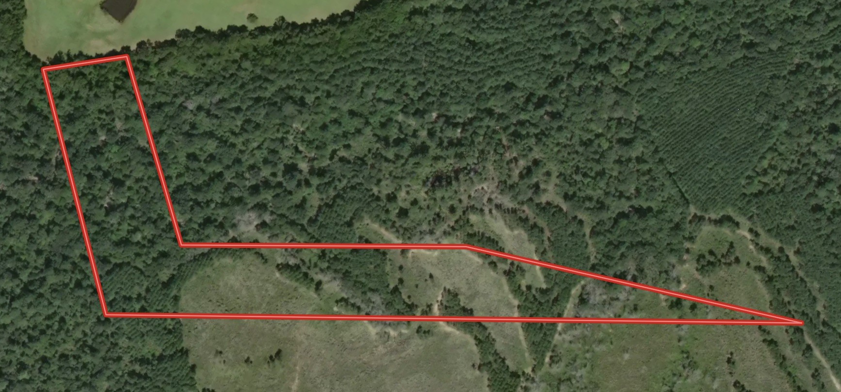 12 A F M 230 Trinity, TX 75862 - Photo 2 of 11 a view of a lush green field