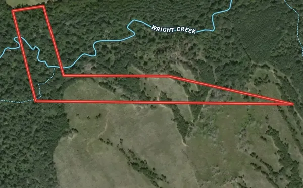 a view of a lake with lots of trees