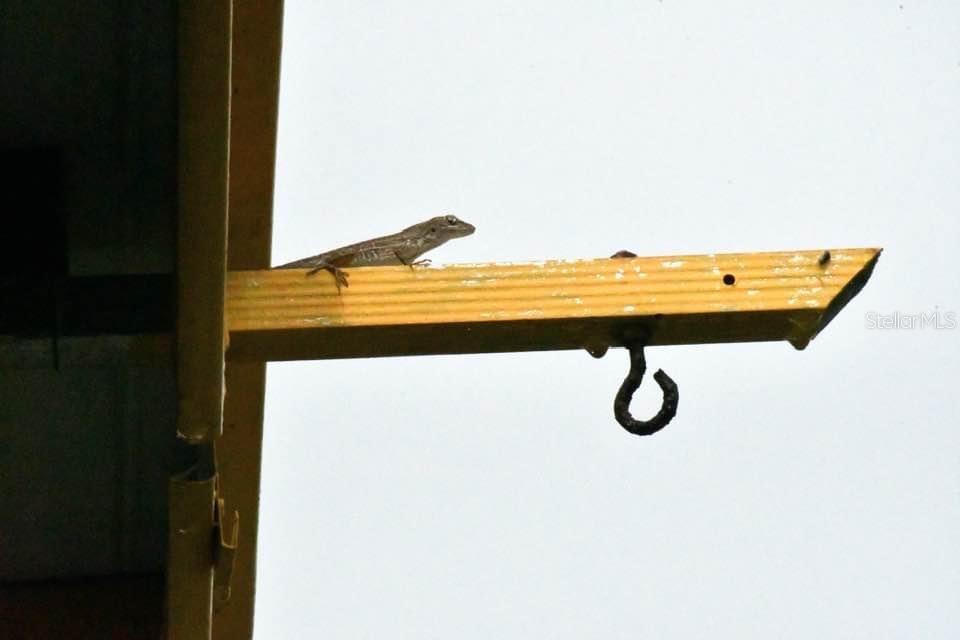 7353 Banner Street New Port Richey, FL 34653 - Photo 48 of 49 a view of a room with wooden floor