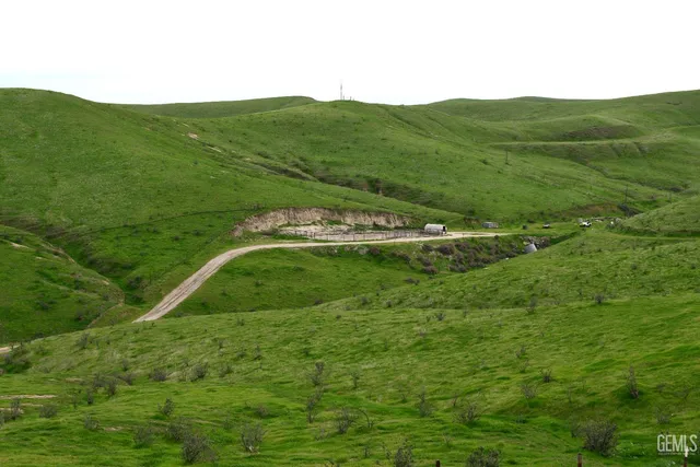 a view of a backyard with wooden fence