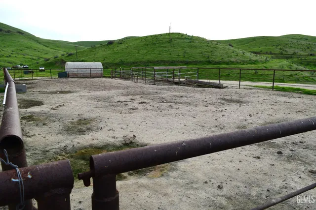 a view of a lush green space