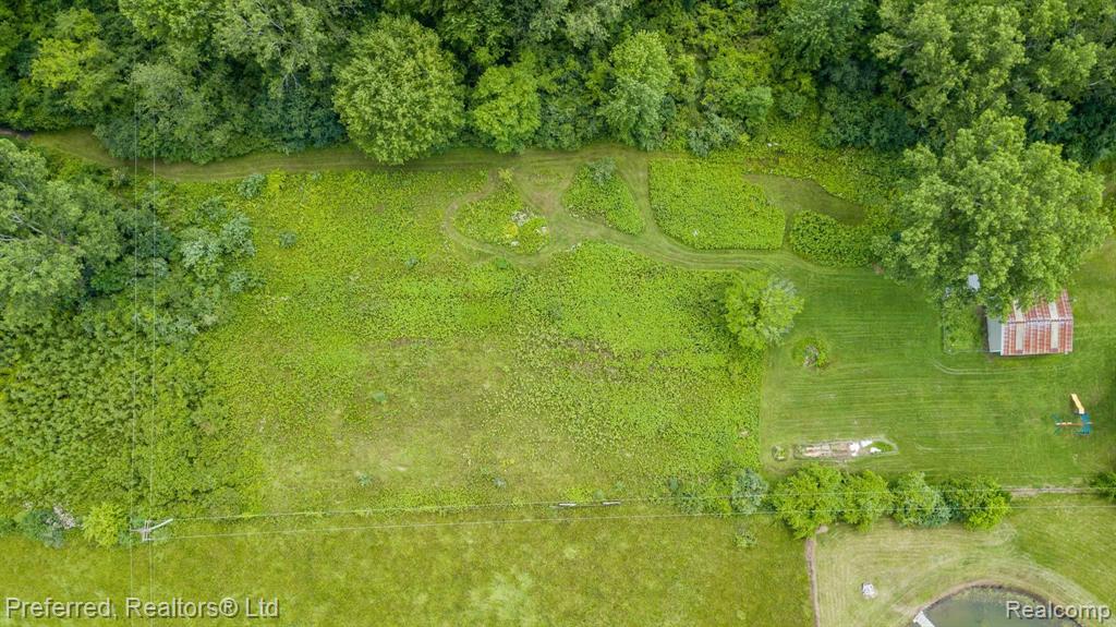 10687 Moon Road Milan, MI 48160 - Photo 36 of 39