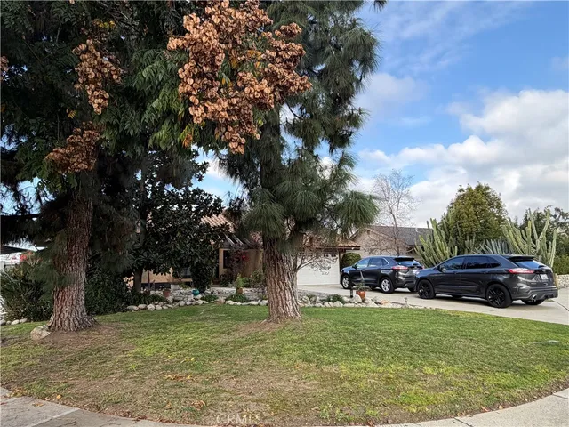 a view of a trees in a park
