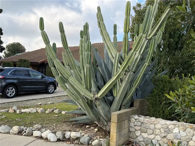 a view of swimming pool with a garden