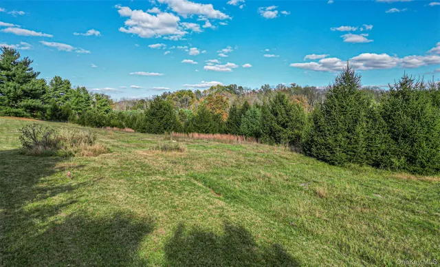 a view of a green field with lots of bushes