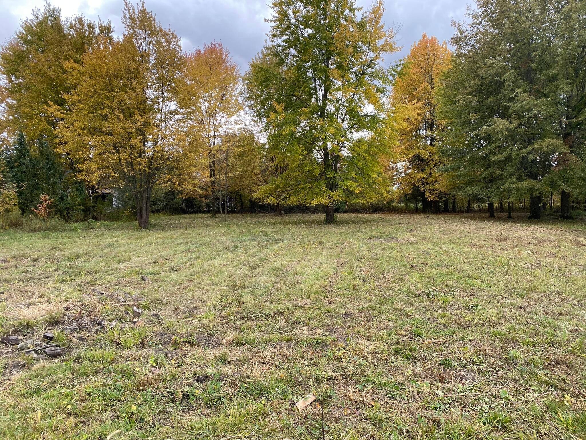 Standing in the center of lot looking toward the back