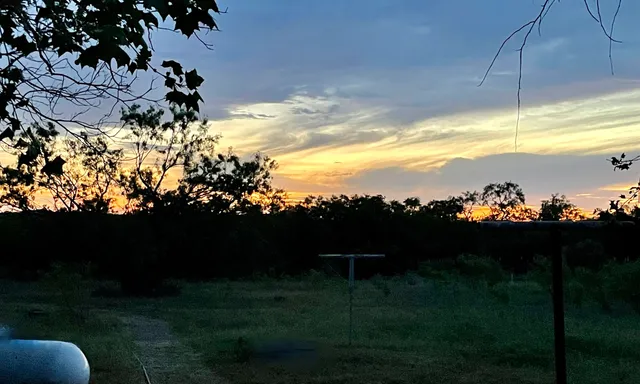 a view of a yard in front of a house