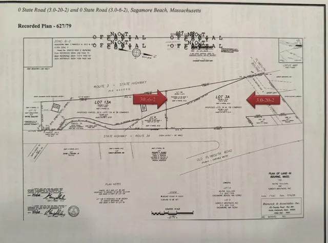 a view of a lush green forest with large trees