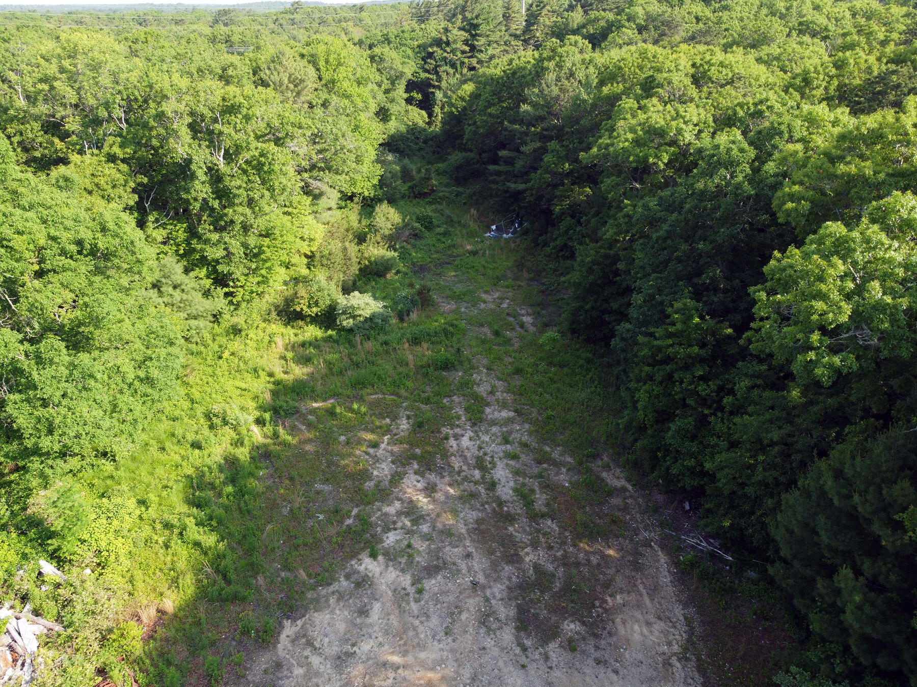 0 State Road Sagamore Beach, MA 02562 - Photo 5 of 14 a view of a lush green forest with large trees