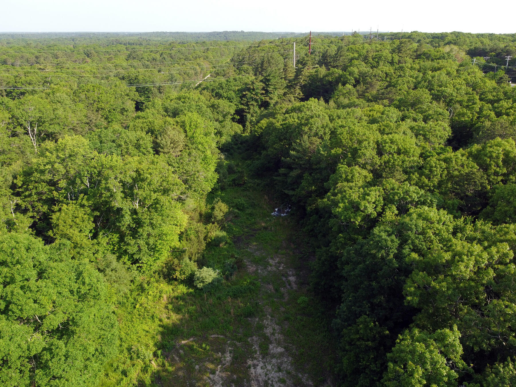0 State Road Sagamore Beach, MA 02562 - Photo 6 of 14 a view of a green yard with large trees