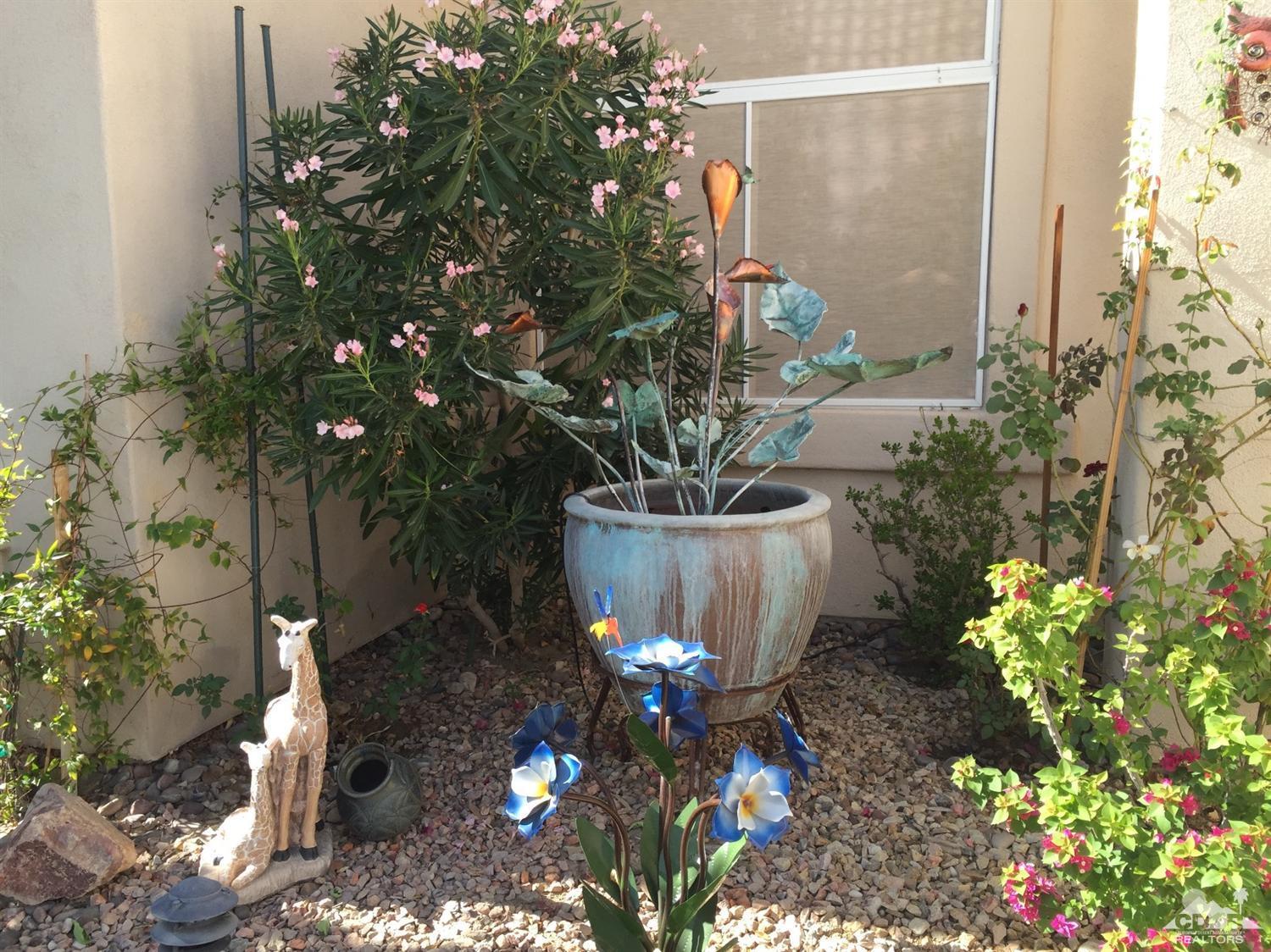 37339 Skycrest Road Palm Desert, CA 92211 - Photo 7 of 39 a view of a flower in a yard